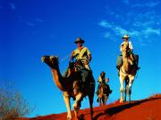 Camel Ride - Red Centre
